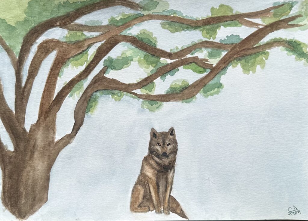 Clara Arte13 1024x734